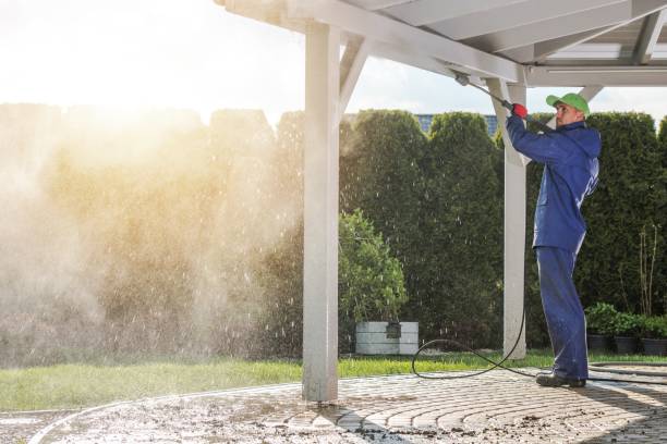 Best Roof Washing  in West Haven, CT